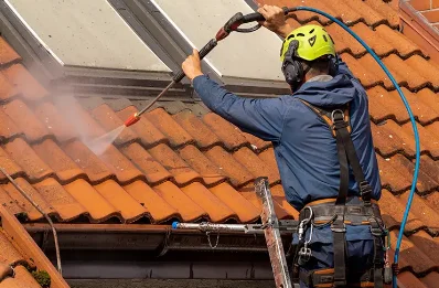 Démoussage et hydrofuge de toiture à Trappes